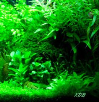 bo-100-Klaus-Dieter-PC